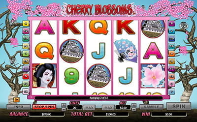 Cherry Blossoms Slot Gameplay
