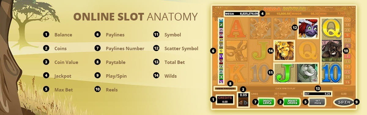 Our Infographic about the Elements of an Online Slot.