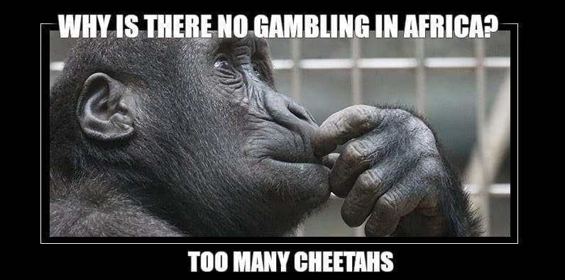 Why There’s No Gambling in Africa Meme