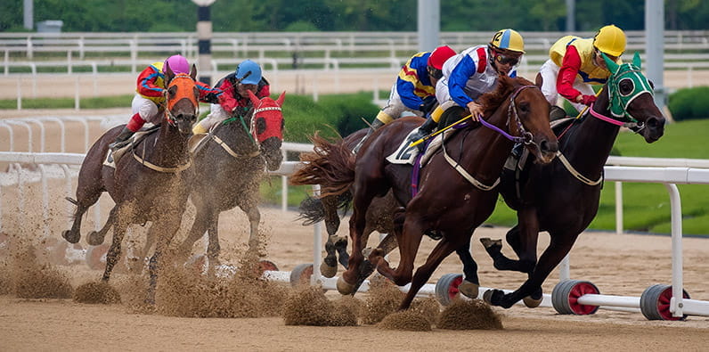 Horse Racing at a Hippodrome Somewhere in India