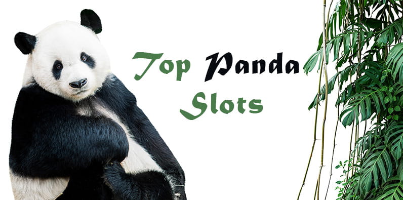 The best Panda Slots