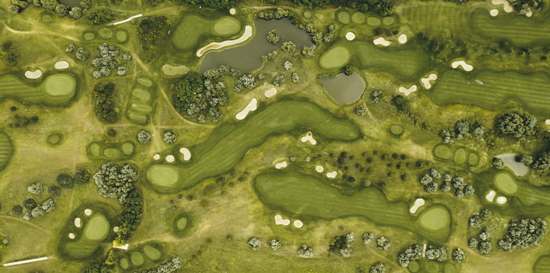 Professional Golf Course from a Bird View