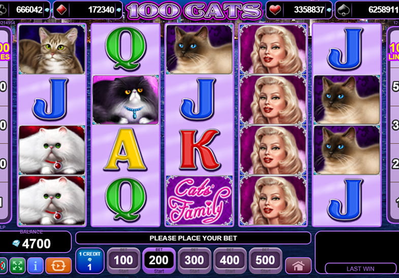 100 Cats Slot EGT