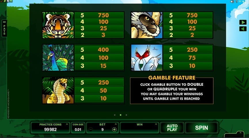 Adventure Palace Paytable
