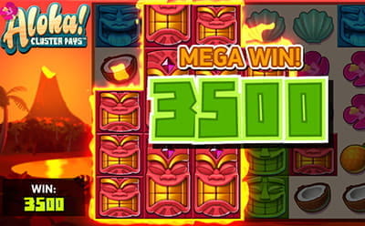 Mega Win at Aloha
