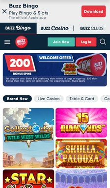 Buzz Bingo User Experience on Site