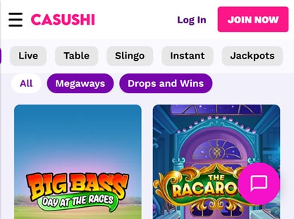 Casushi Desktop View