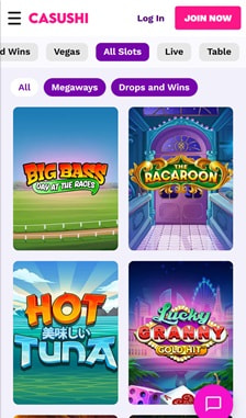 Casushi Slots Overview