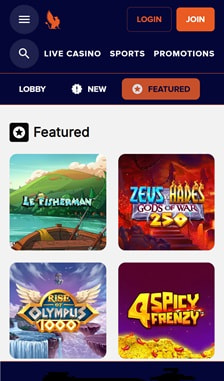 Griffon Casino User Experience on Site
