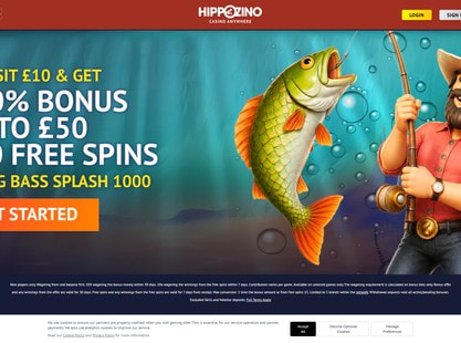 Hippozino Desktop View