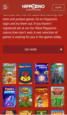 Hippozino Games Overview