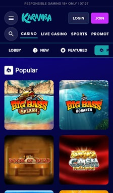 Karamba User Experience on Site