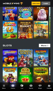 Mobile Wins Slots Overview