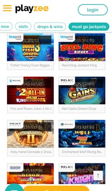 Playzee Games Overview