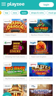 Playzee Slots Overview