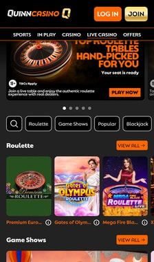 QuinnBet Roulette Overview