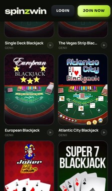 SpinzWin Blackjack Overview