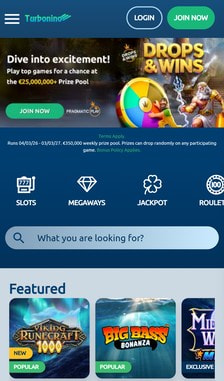 Turbonino User Experience on Site