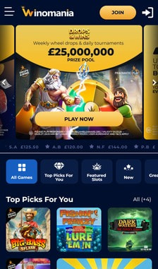Winomania User Experience on Site