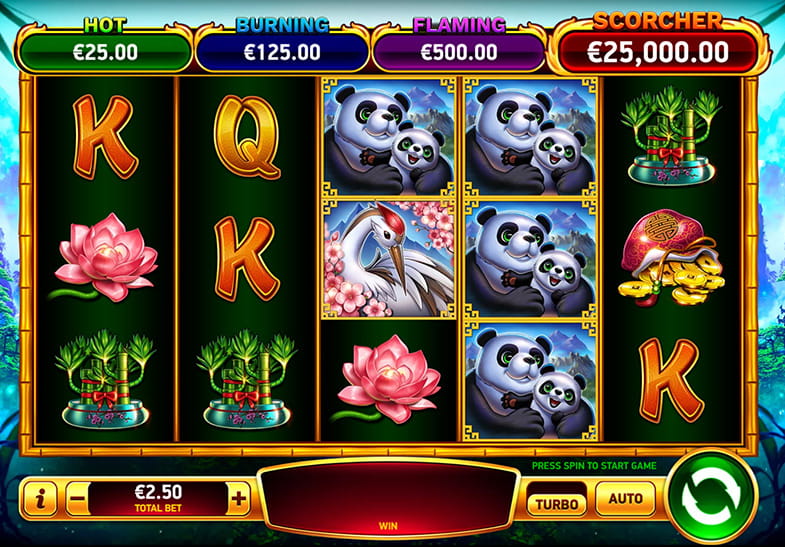 Free Demo of the Bamboo Fortune Slot