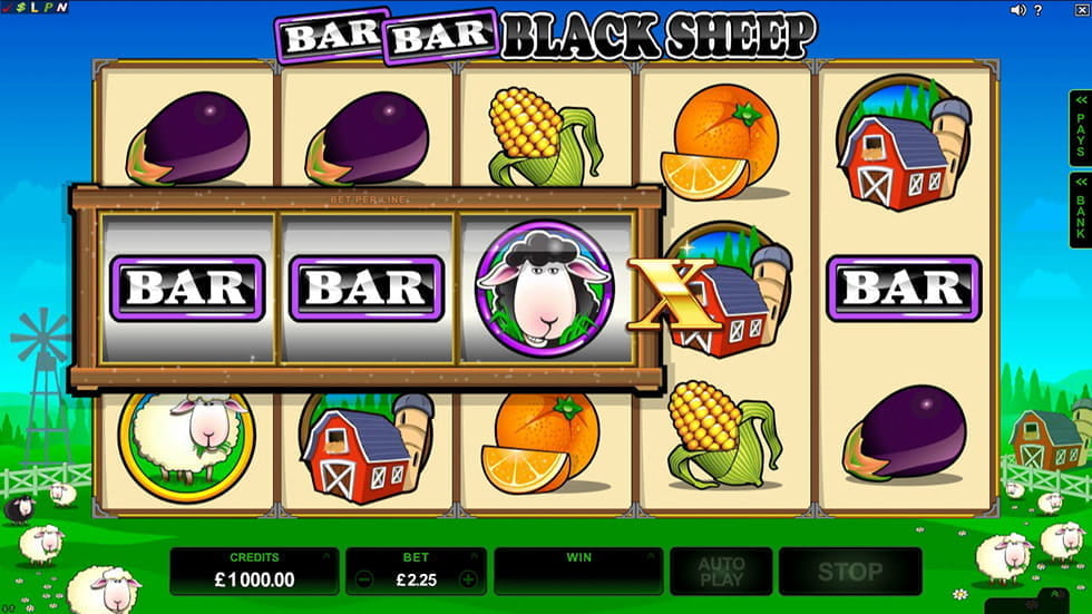 blaze crash com blaze crash com