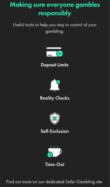 bet365 Responsible Gambling options