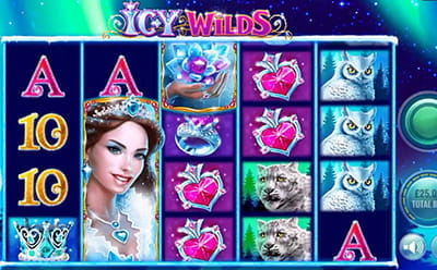 Icy Wilds Slot Game