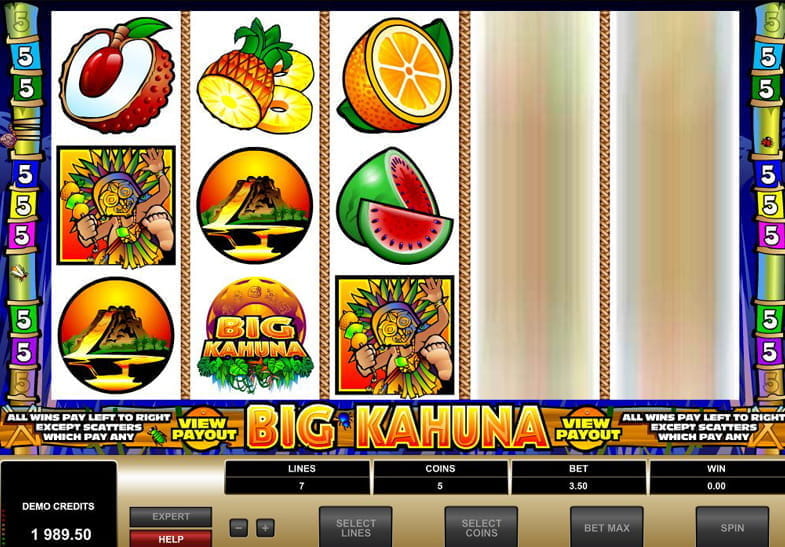 Free Demo of the Big Kahuna Slot