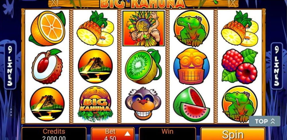 Big Kahuna Slot