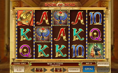 Book of Dead Slot at Chilli Spins Casino