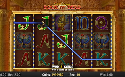 Book of Dead at Dreamz Casino