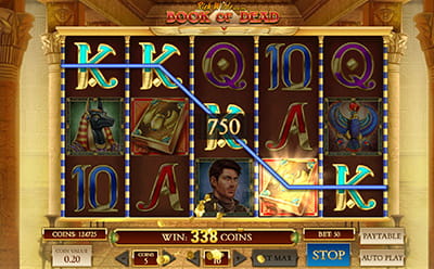 Book of Dead at Spinshake Casino
