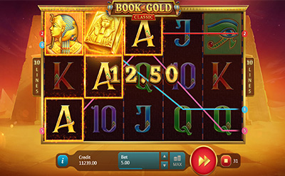 Book of Gold: Classis Slot on Mobile