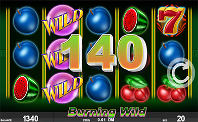 Burning Wild Slot Bonus Round