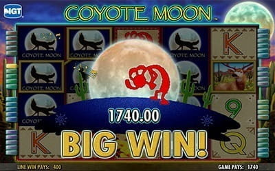Coyote Moon Big Win