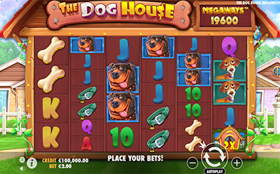Dog House Megaways at Sir Jackpot Casino
