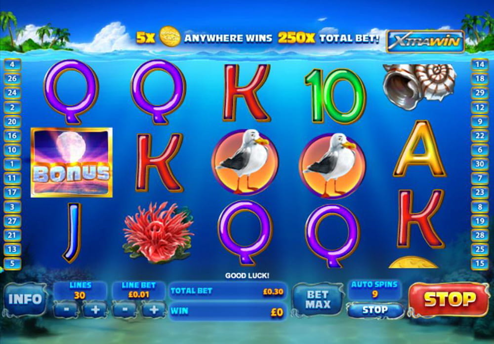 Dolphin Cash Slot Review Frequesnt Wins and Spins Multipliers