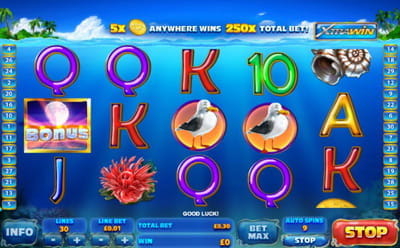 Dolphin Cash Slot Gameplay
