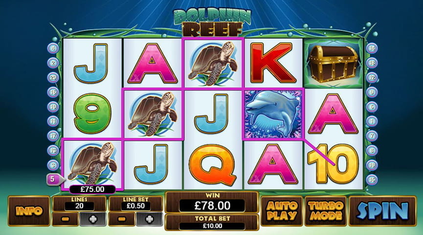 Dolphin Reef Winning Spin
