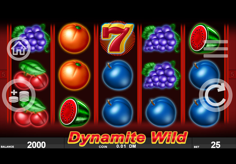 Free Demo of the Dynamite Wild Slot