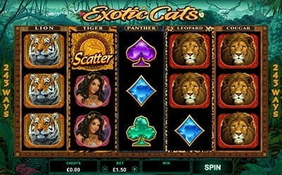 Exotic Cats Slot at TopTally Casino