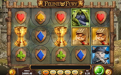 Feline Fury Slot