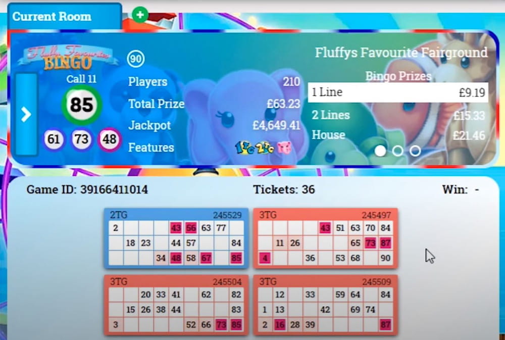 Bingo