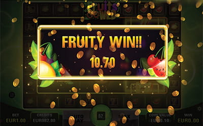 Fruits Go Wild Slot Bonus Round