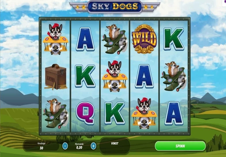 Sky Dogs slot game by Gamesys 