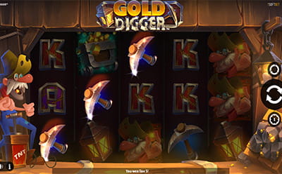 Gold Digger Slot Bonus Round