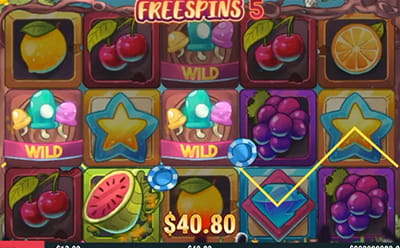 Lucky Forest Casino Slot Bonus Round