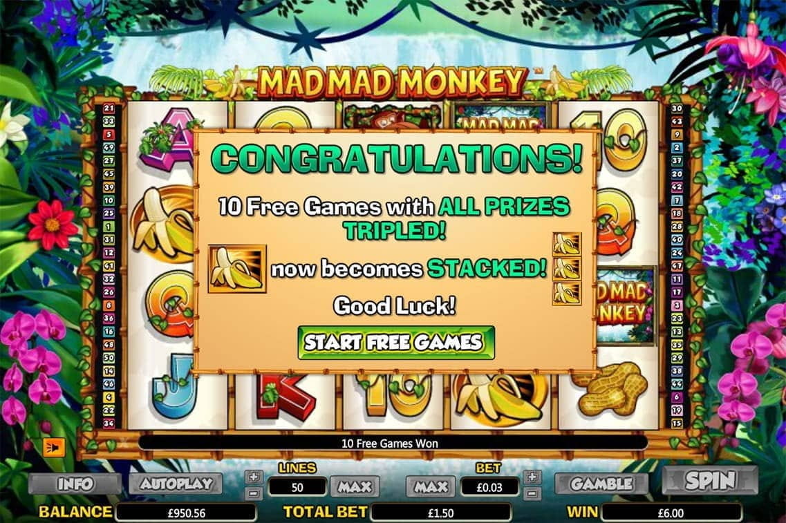 Mad Mad Monkey Slot Review Free Spins And Payouts