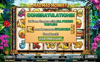 Mad Mad Monkey Free Spins