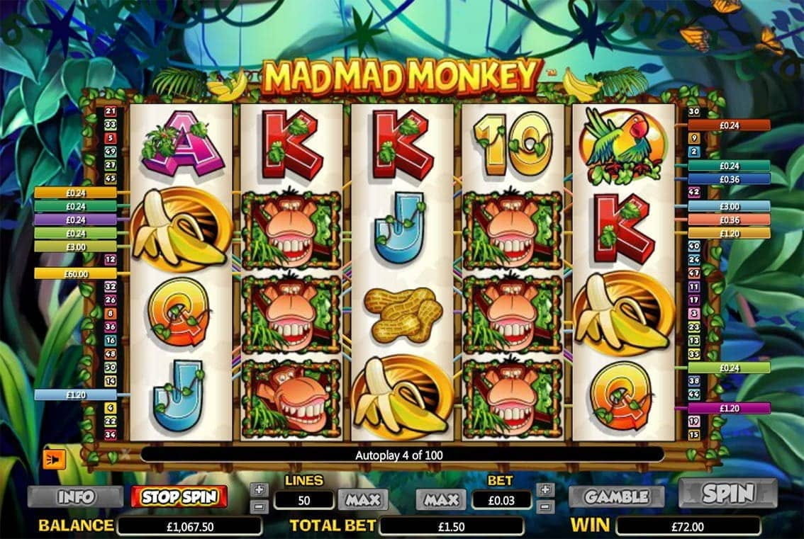 Mad Mad Monkey Slot Review Free Spins And Payouts Mad Mad Monkey Slot Review Free Spins And Payouts